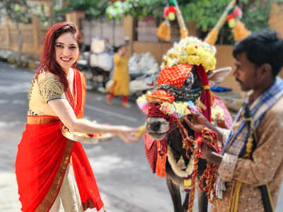 Doing pooja for cows during the festival is a tradition for me: Sherin