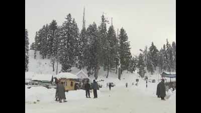 Tourists attacked doctors, wanted negative Covid-19 test report to visit Gulmarg