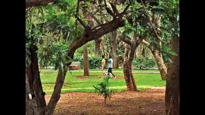 Three new tree parks in Bengaluru add a breath of fresh air to the original Garden City