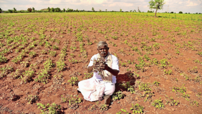 In Andhra Pradesh, 2 decades of drought emptying out ‘blessed’ district