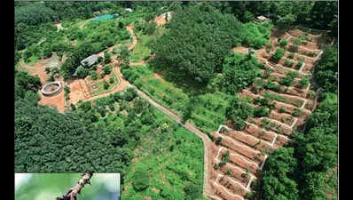 In Kerala, a garden springs from a book