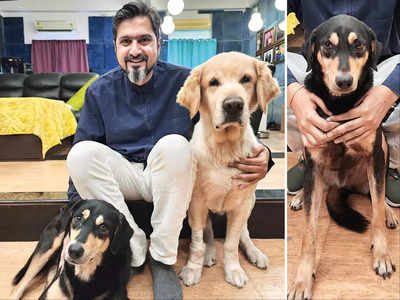 My pets love the soundproof environment of my studio, says Ricky Kej