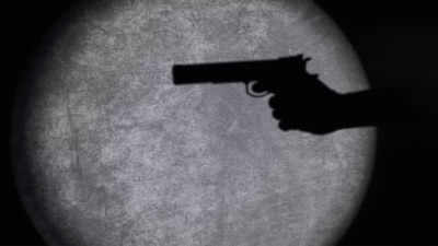 3-year-old infant 'accidentally' shoots dead 1-year-old sibling with a gun in the US