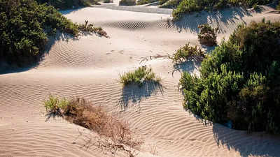 World Sand Dune Day; Sand Dune spots for each zodiac sign