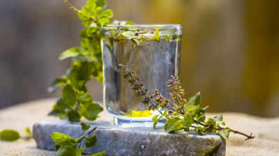 7 reasons to start your day with Tulsi water on an empty stomach