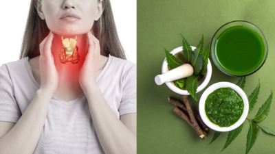 Herbal remedies that can regulate your thyroid gland